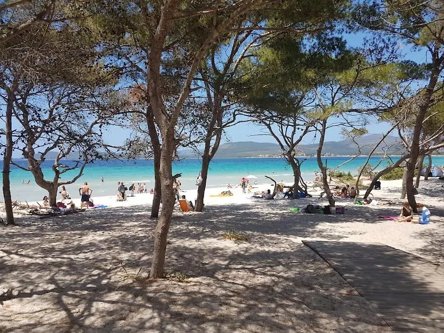 Apartment La Perla Bianca - Alghero Lido, Vicino Al Mare